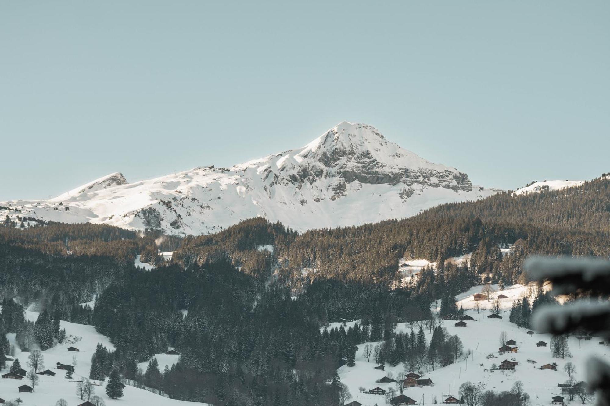 Apartmán Homely - Naehe Terminal Grindelwald